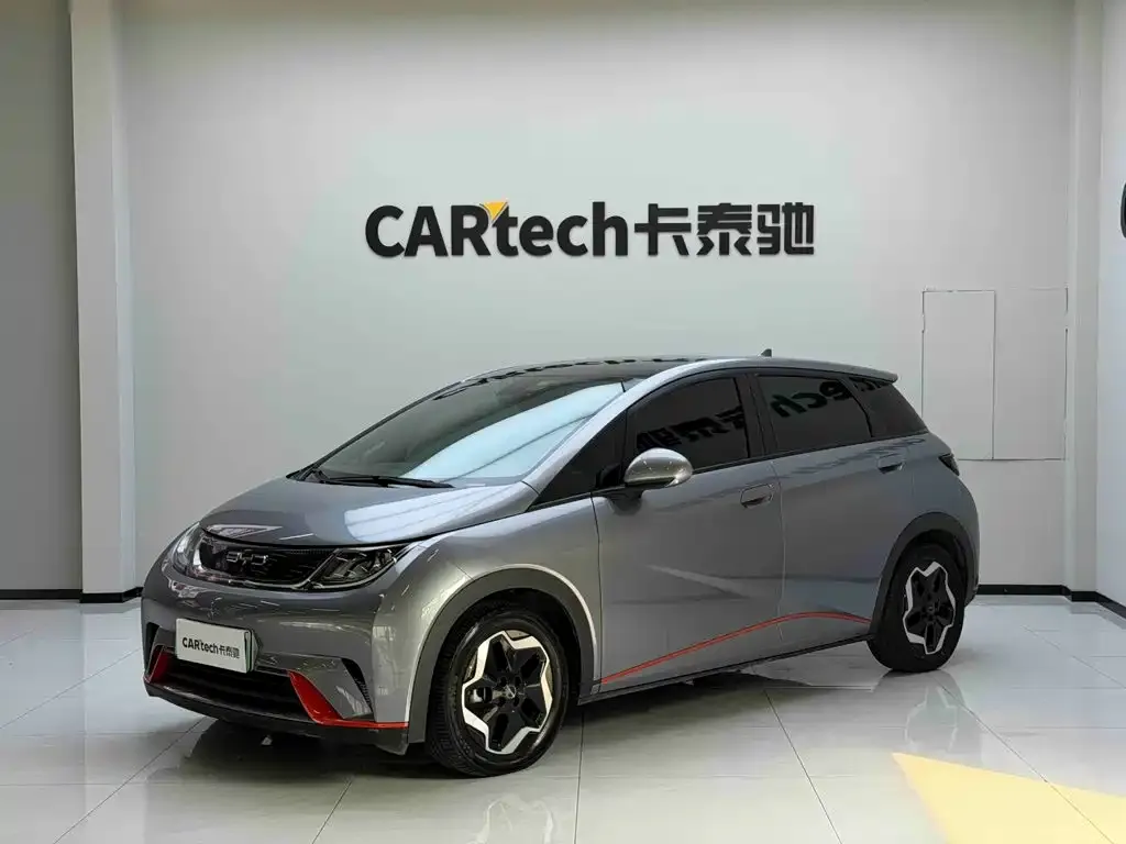 2021 BYD Dolphin 405km Fashion