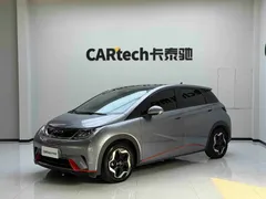 2021 BYD Dolphin 405km Fashion — фото 1