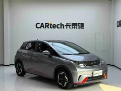 2021 BYD Dolphin 405km Fashion — фото 3
