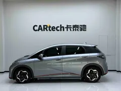 2021 BYD Dolphin 405km Fashion — фото 4