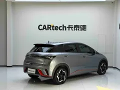 2021 BYD Dolphin 405km Fashion — фото 5