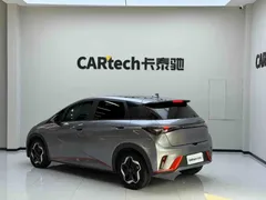 2021 BYD Dolphin 405km Fashion — фото 7