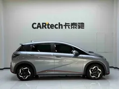 2021 BYD Dolphin 405km Fashion — фото 8