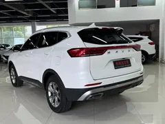 2021 Haval H6 1.5T AT, белый — фото 4