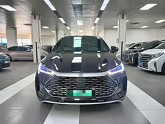 2024 BYD Tang 112KM, чёрный — фото 2
