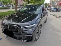 2022 BMW X5 xDrive 30Li M, чёрный — фото 2