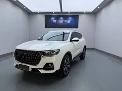 2023 Haval H6 1.5T AT, белый — фото 1