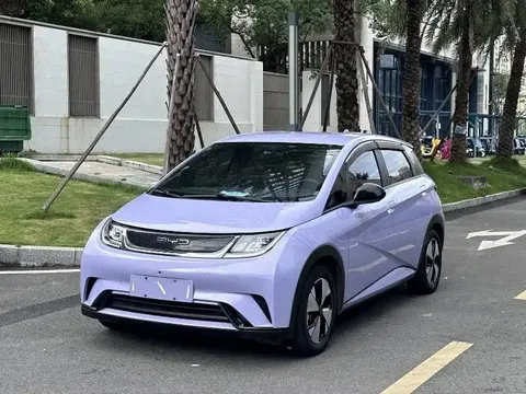 2023 BYD Dolphin 420km Fashion