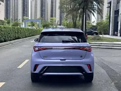2023 BYD Dolphin 420km Fashion — фото 12