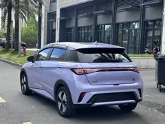 2023 BYD Dolphin 420km Fashion — фото 13