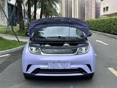 2023 BYD Dolphin 420km Fashion — фото 15