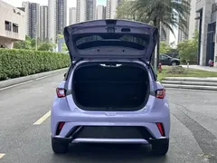 2023 BYD Dolphin 420km Fashion — фото 16