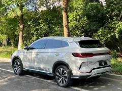 2024 BYD Song PLUS Honor Edition EV 520km Premium, белый — фото 13