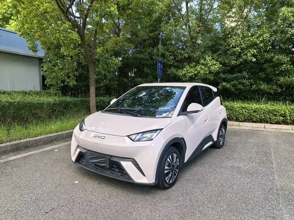2024 BYD Seagull Honor 305km Vitality