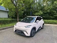 2024 BYD Seagull Honor 305km Vitality — фото 1