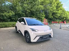 2024 BYD Seagull Honor 305km Vitality — фото 3