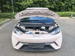 2024 BYD Seagull Honor 305km Vitality — фото 17