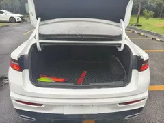 2023 Geely Preface 2.0TD Luxury, белый — фото 19