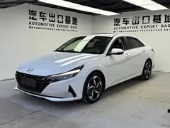 2022 Hyundai Elantra 1.5L CVT LUX Premium, белый — фото 1