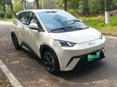 2024 BYD Seagull EV 305km Honor Freedom, белый — фото 1