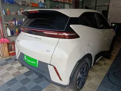 2024 BYD Seagull EV 305km Honor Freedom, белый — фото 5