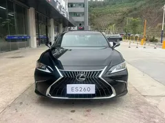 2021 Lexus ES 260, чёрный — фото 2