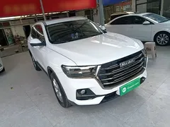 2021 Haval H6 1.5GDIT AT Guochao Champion, белый — фото 4