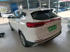 2021 Haval H6 1.5GDIT AT Guochao Champion, белый — фото 5