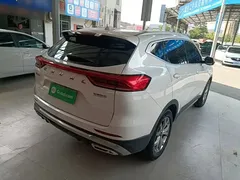 2021 Haval H6 1.5GDIT AT Guochao Champion, белый — фото 7