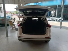 2021 Haval H6 1.5GDIT AT Guochao Champion, белый — фото 19