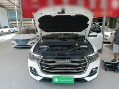 2021 Haval H6 1.5GDIT AT Guochao Champion, белый — фото 20