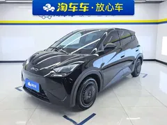 2025 BYD Seagull EV 305km, чёрный — фото 1
