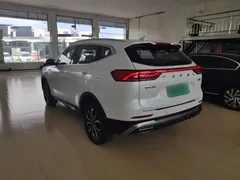 2021 Haval H6 1.5T AT, белый — фото 5