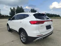 2021 Haval H6 1.5T AT, белый — фото 4