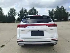2021 Haval H6 1.5T AT, белый — фото 5