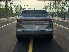 2021 Haval H6 1.5T AT 2WD Pro — фото 6