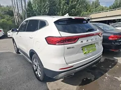 2021 Haval H6 1.5GDIT AT, белый — фото 5