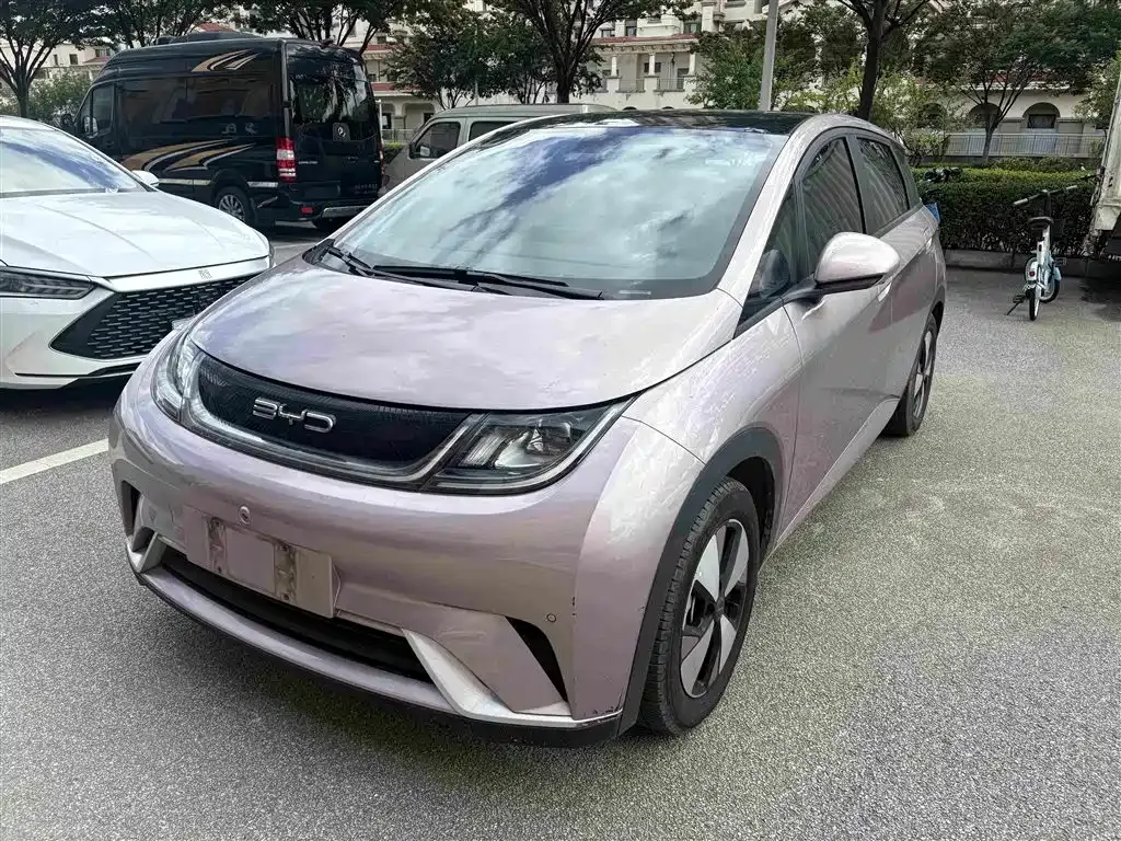 2023 BYD Dolphin 420km Fashion