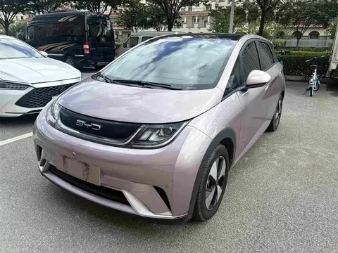 2023 BYD Dolphin 420km Fashion
