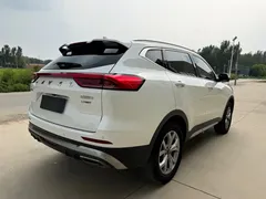 2021 Haval H6 2.0GDIT AT, белый — фото 7