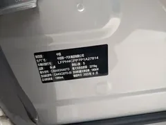 2023 Hongqi HS5 2.0T 4WD Pro — фото 7
