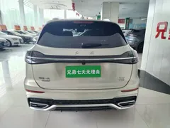 2023 Hongqi HS5 2.0T 4WD Pro — фото 16