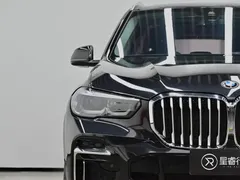 2022 BMW X5 30Li M Sport Package, чёрный — фото 27