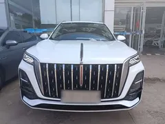 2023 Hongqi HS5 2.0T Pro, белый — фото 3