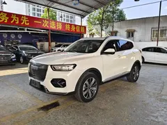 2021 Haval H6 1.5T AT Champion, белый — фото 1