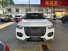 2021 Haval H6 1.5T AT Champion, белый — фото 2
