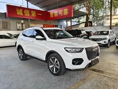 2021 Haval H6 1.5T AT Champion, белый — фото 3