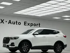 2023 Haval H6 1.5T AT, белый — фото 19