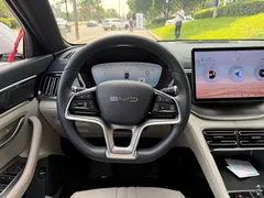 2023 BYD Song PLUS DM-i 150KM PLUS, белый — фото 14