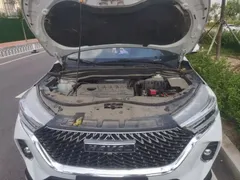 2021 Haval M6 Plus 1.5T DCT Luxury, белый — фото 11